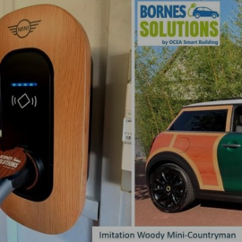 Borne solutions